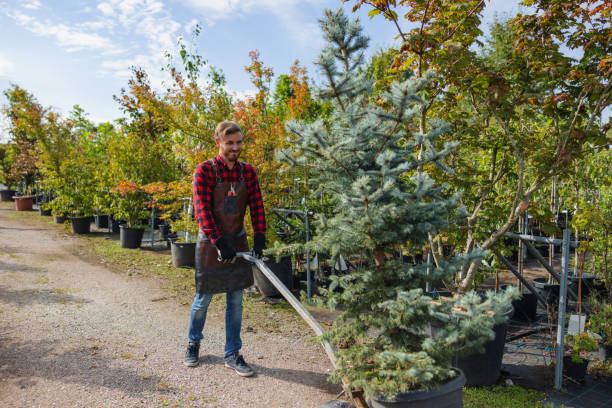 Best Leaf Removal  in Great Neck, NY